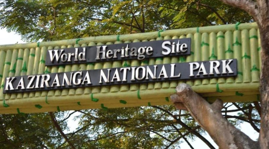 Kaziranga National Park