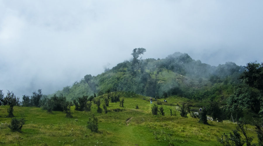 Singalila National Park