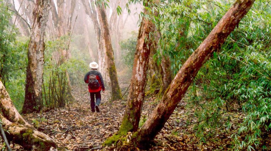 Neora Valley National Park