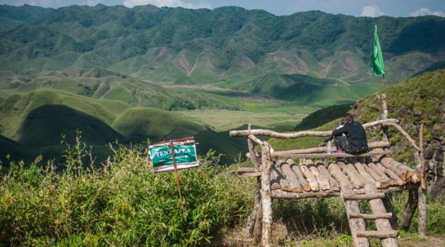 Dzukou Valley